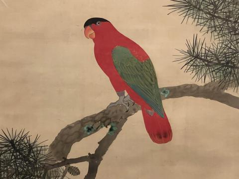 老松鸚哥図
