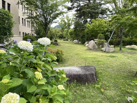 教授研究館