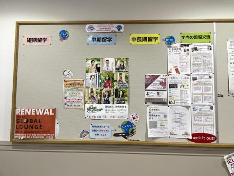 社会学部