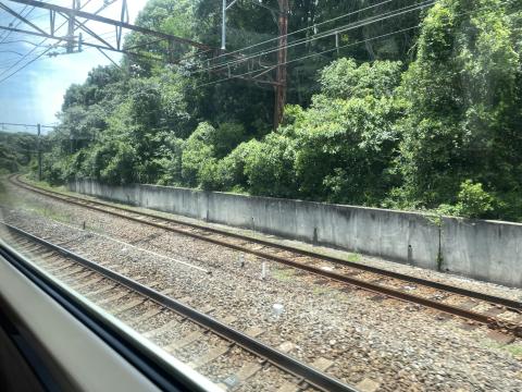 南海多奈川線
