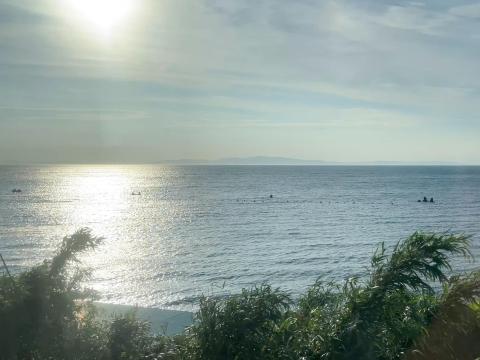 茅渟の海