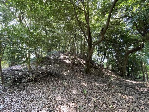 野口王墓古墳