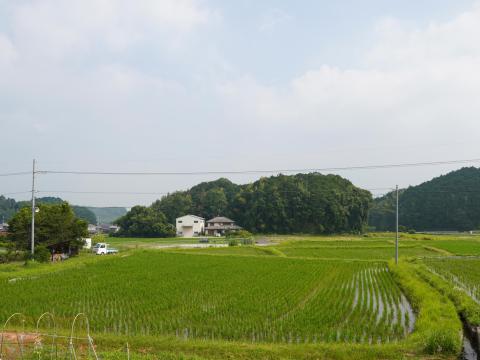 子嶋寺