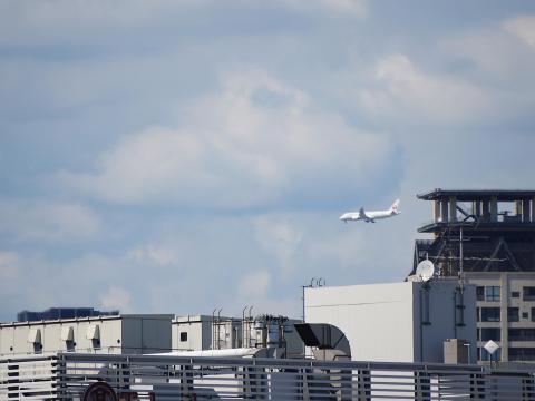 JAL機