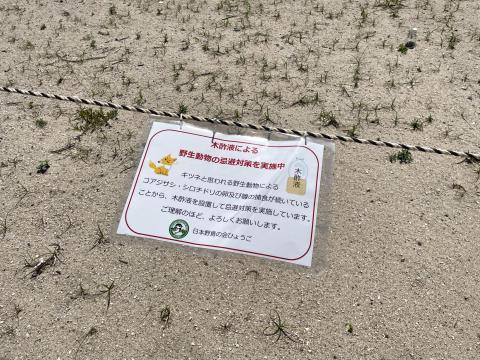 アジュール舞子