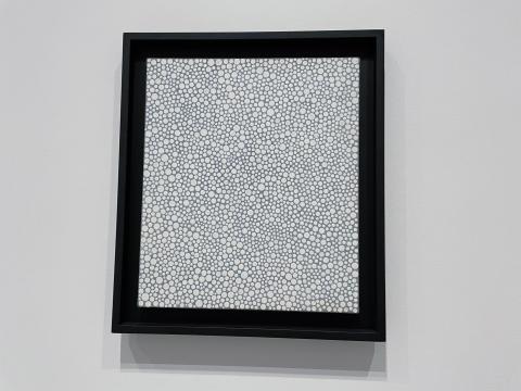 DOTS