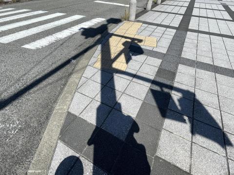 細い日陰