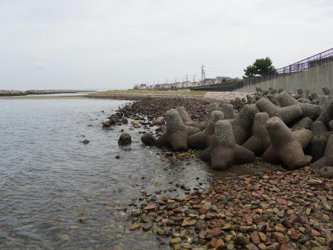 尾崎の海岸