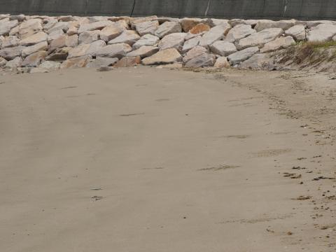 尾崎の浜