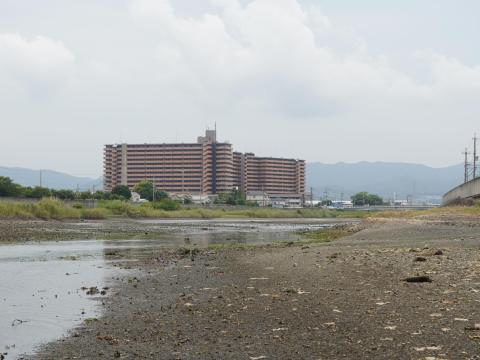 男里川河口