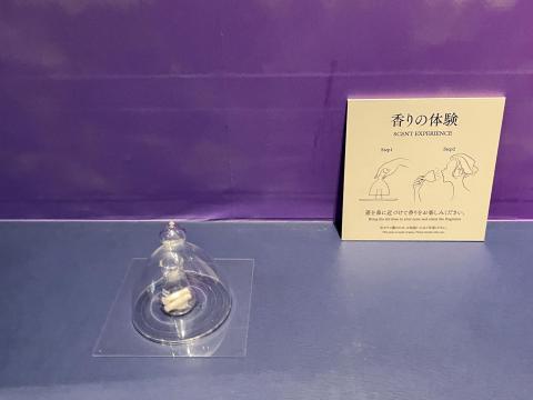 蘭奢待