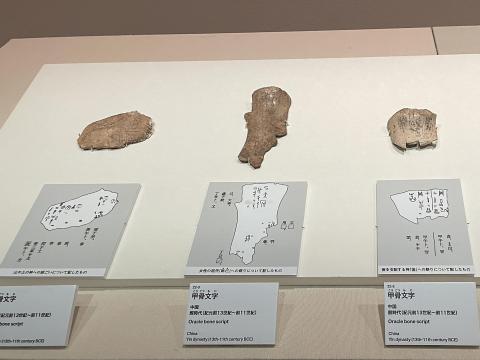 甲骨文字