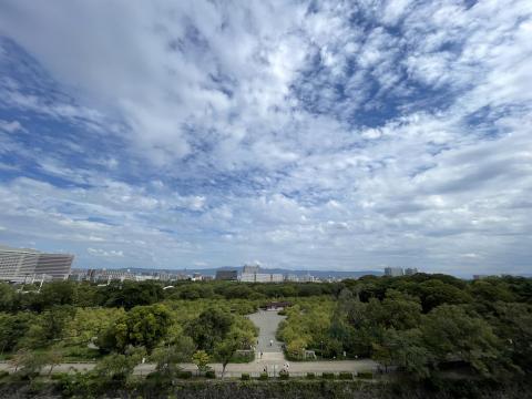 配水池東からの眺め