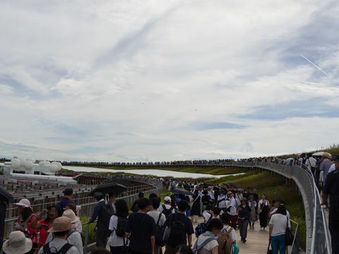 大屋根リング