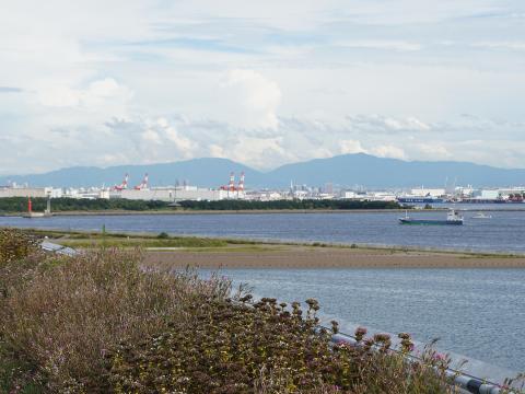南港野鳥園