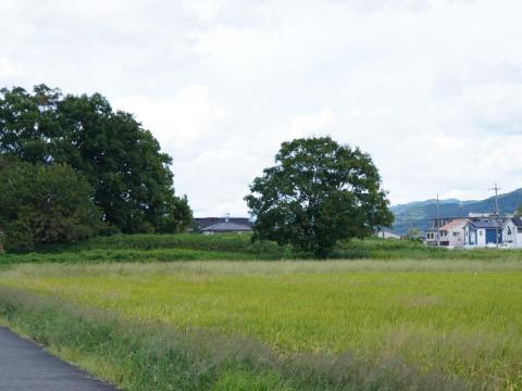 纒向石塚古墳