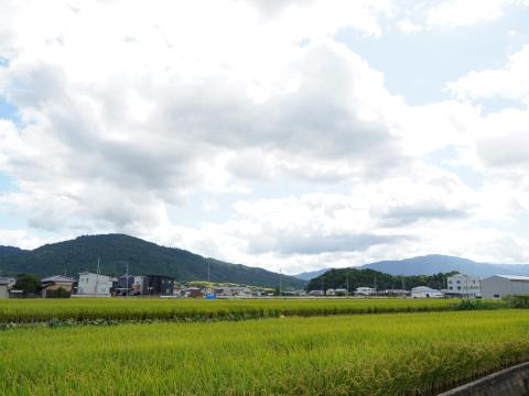 三輪山、箸墓古墳、音羽山