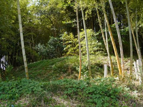 東田大塚古墳