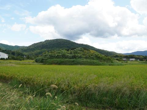 小川塚西古墳