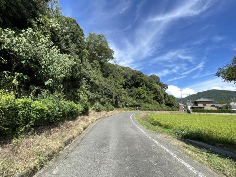 箸墓古墳