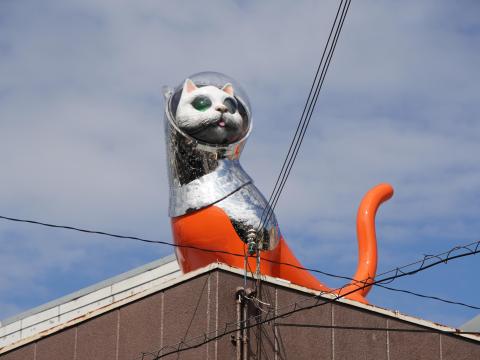 SHIP's CAT (Hope)