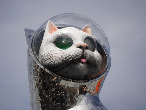SHIP's CAT (Hope)