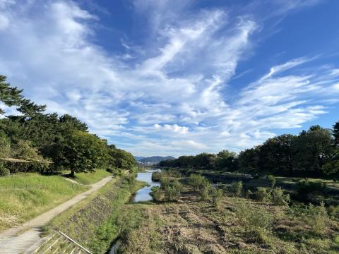 賀茂川