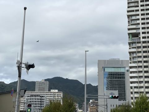 摩耶山