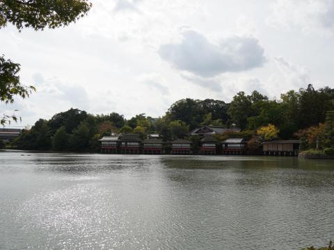 八条ヶ池