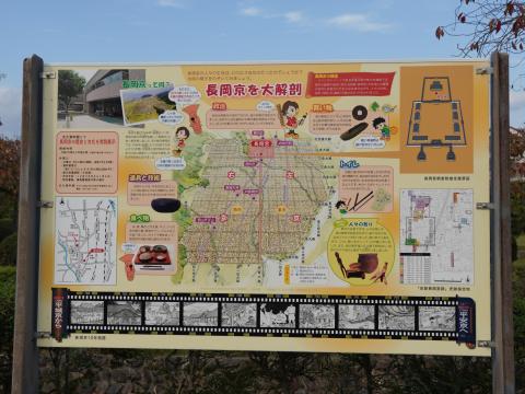 長岡京を大解剖