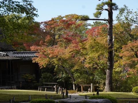 吉城園