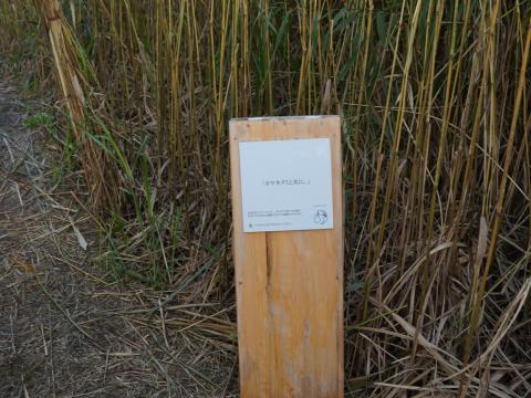 カヤネズミと共に