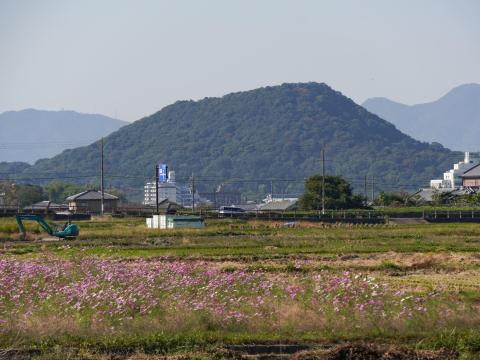 畝傍山