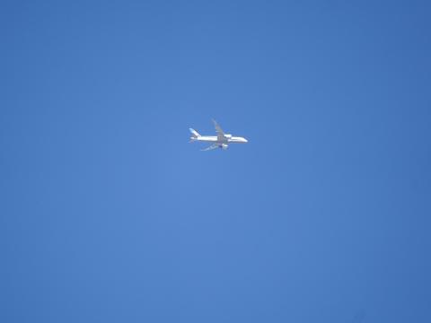 ANA機