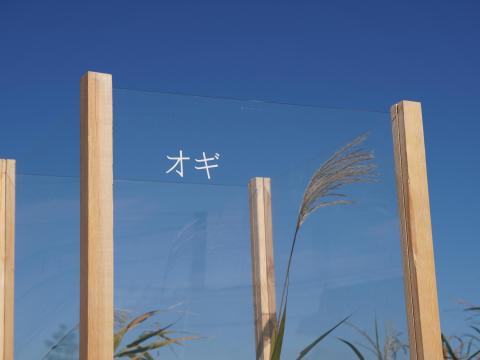 オギ