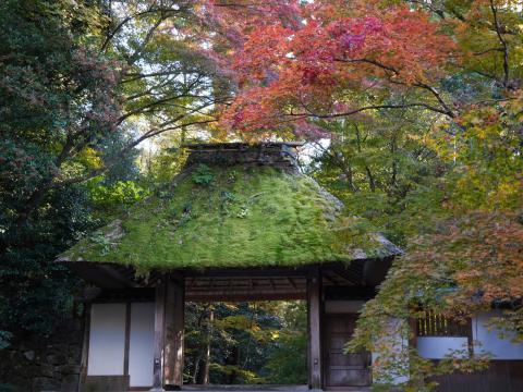山門
