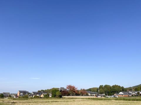 明日香