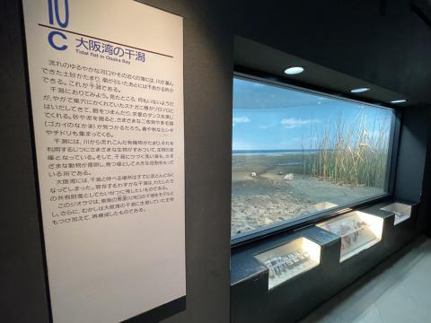 大阪湾の干潟