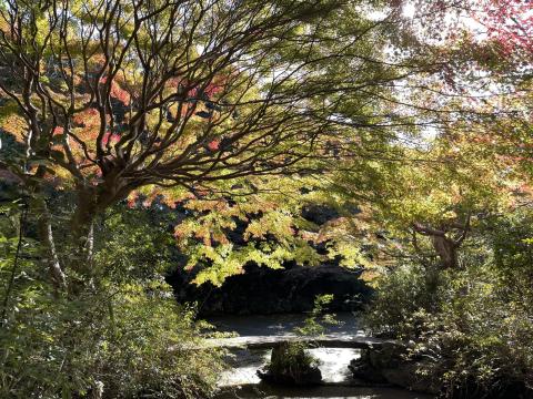 不退寺