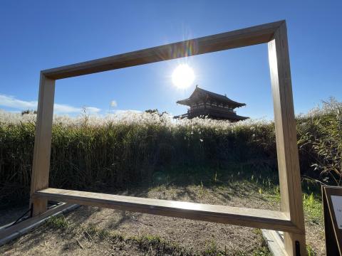 大きい額縁