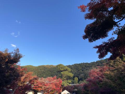 永観堂