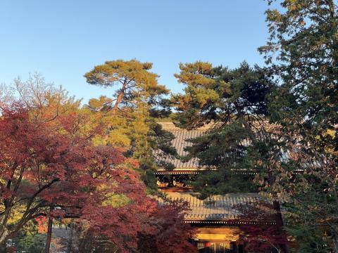 南禅寺法堂