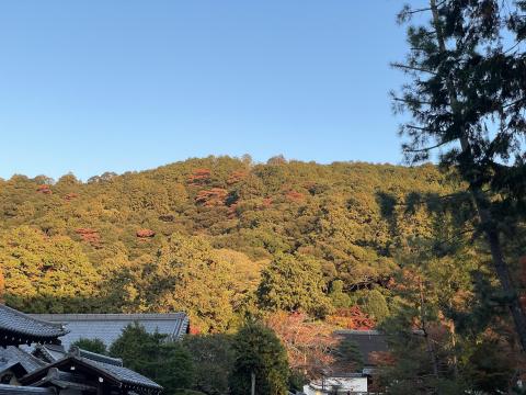 南禅寺山
