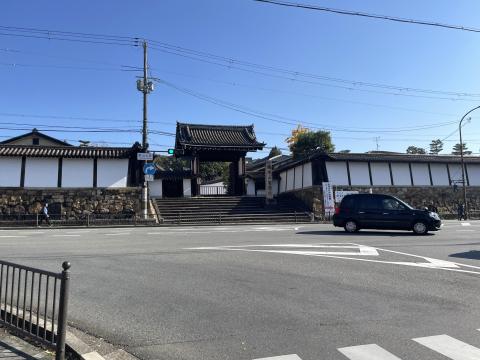 智積院
