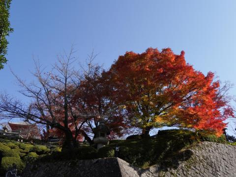 清水寺