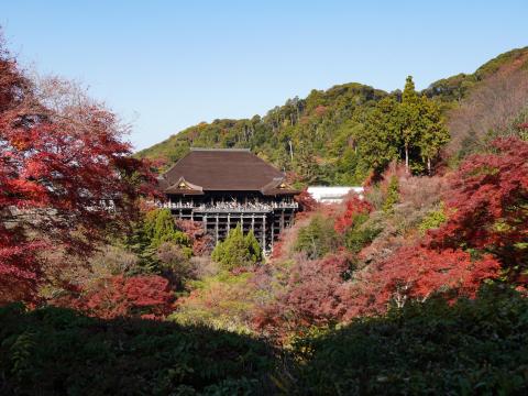 子安塔前から