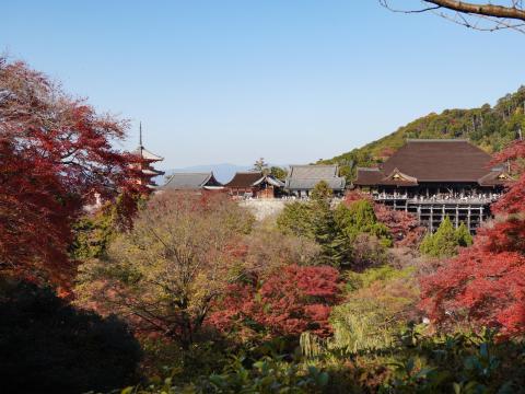 子安塔前から