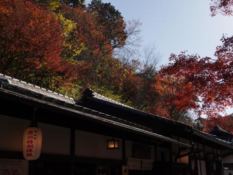 滝の家