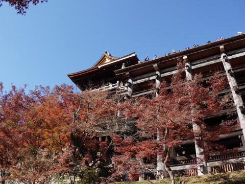 清水の舞台