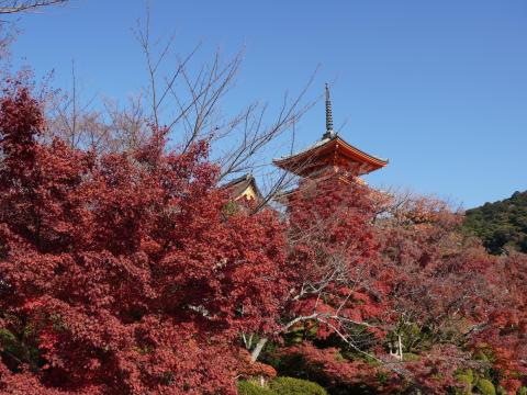 三重塔